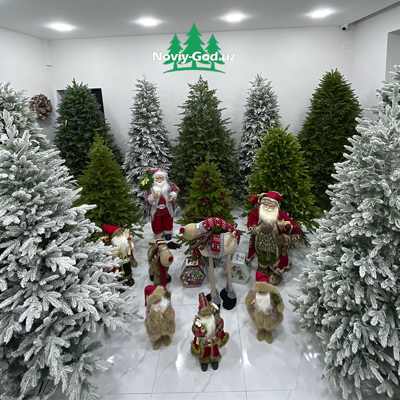БОЛЬШОЙ АССОРТИМЕНТ НОВОГОДНИХ ЁЛОК В ТАШКЕНТЕ!